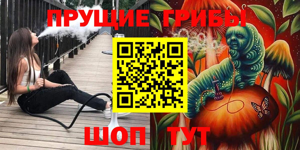 Галлюциногенные грибы Psilocybine cubensis  Галлюциногенные грибы Cubensis  Вход с VPN  Сафоново 